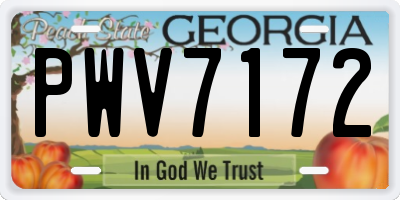 GA license plate PWV7172