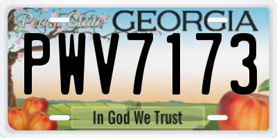 GA license plate PWV7173