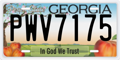 GA license plate PWV7175