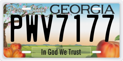 GA license plate PWV7177