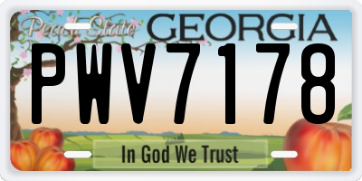GA license plate PWV7178