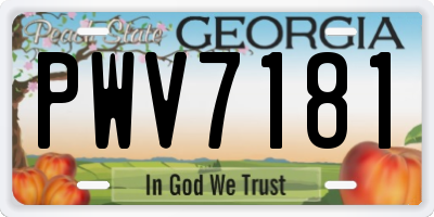 GA license plate PWV7181