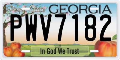 GA license plate PWV7182