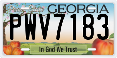 GA license plate PWV7183