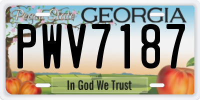 GA license plate PWV7187