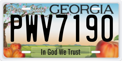 GA license plate PWV7190
