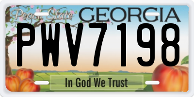 GA license plate PWV7198