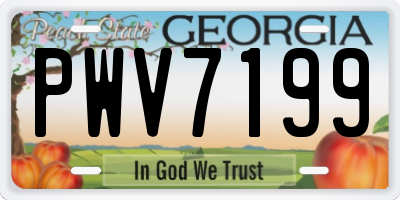 GA license plate PWV7199