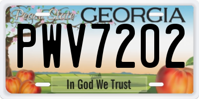 GA license plate PWV7202