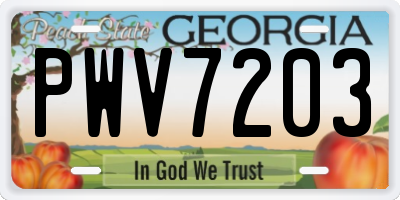 GA license plate PWV7203