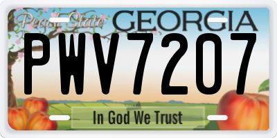 GA license plate PWV7207