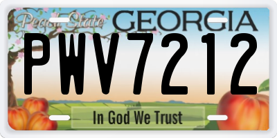 GA license plate PWV7212