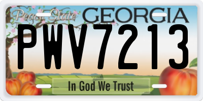 GA license plate PWV7213