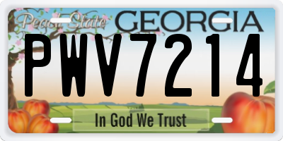 GA license plate PWV7214