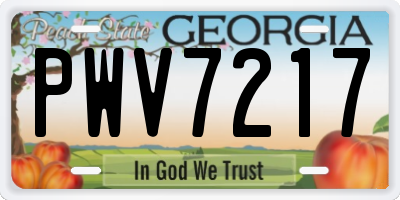 GA license plate PWV7217
