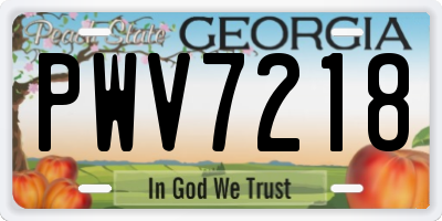 GA license plate PWV7218