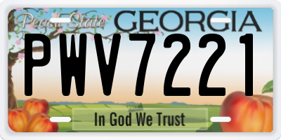GA license plate PWV7221
