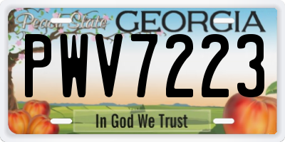 GA license plate PWV7223