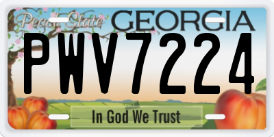 GA license plate PWV7224