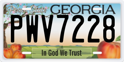 GA license plate PWV7228