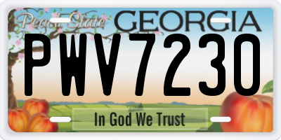 GA license plate PWV7230