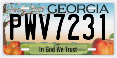 GA license plate PWV7231