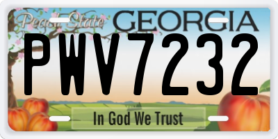 GA license plate PWV7232