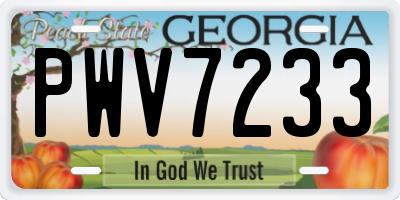 GA license plate PWV7233