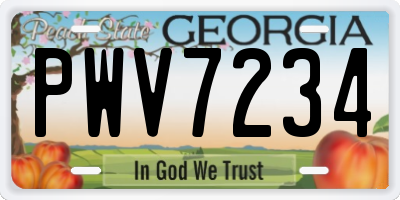 GA license plate PWV7234