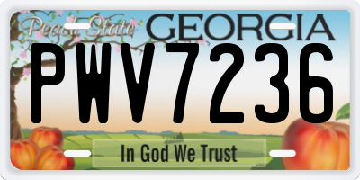 GA license plate PWV7236