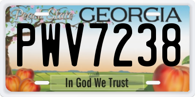 GA license plate PWV7238