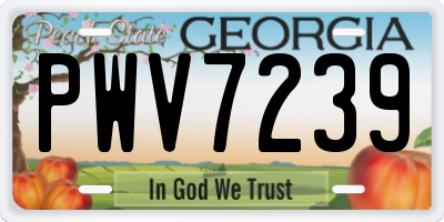 GA license plate PWV7239