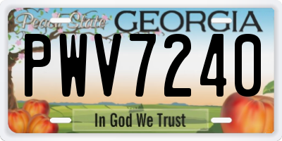 GA license plate PWV7240