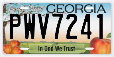 GA license plate PWV7241