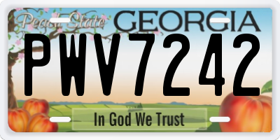 GA license plate PWV7242