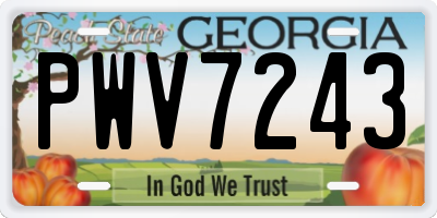 GA license plate PWV7243