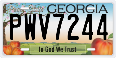 GA license plate PWV7244