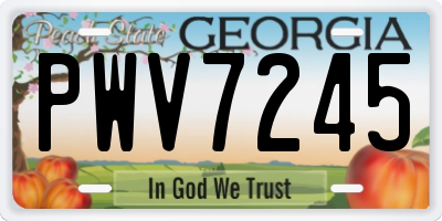 GA license plate PWV7245
