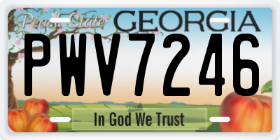 GA license plate PWV7246