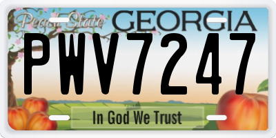 GA license plate PWV7247