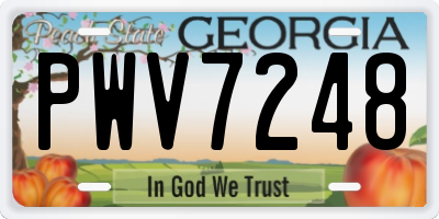 GA license plate PWV7248