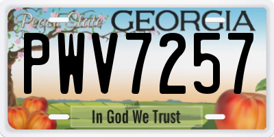 GA license plate PWV7257