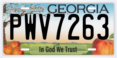 GA license plate PWV7263