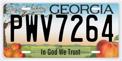 GA license plate PWV7264