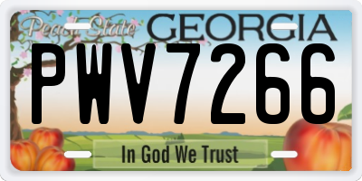GA license plate PWV7266