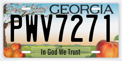 GA license plate PWV7271