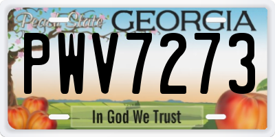 GA license plate PWV7273
