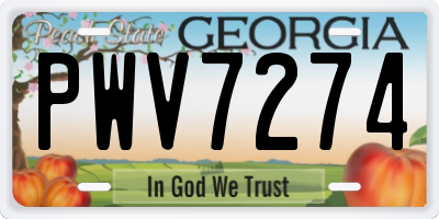 GA license plate PWV7274