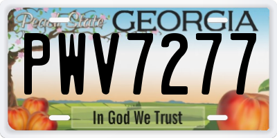 GA license plate PWV7277