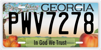 GA license plate PWV7278